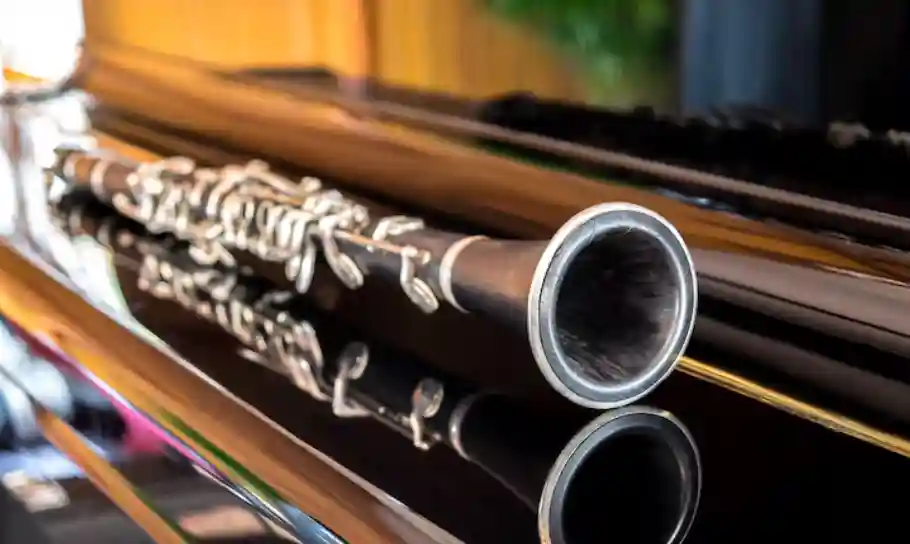 Wie Sie das perfekte Holzblasinstrument für Ihr Niveau finden